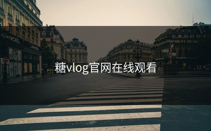 糖vlog官网在线观看