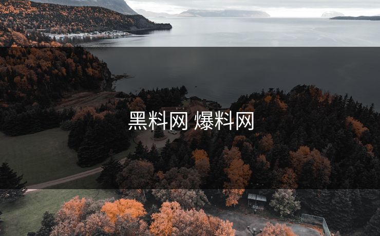黑料网 爆料网