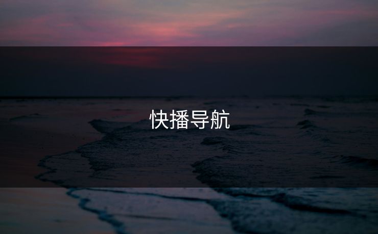 快播导航