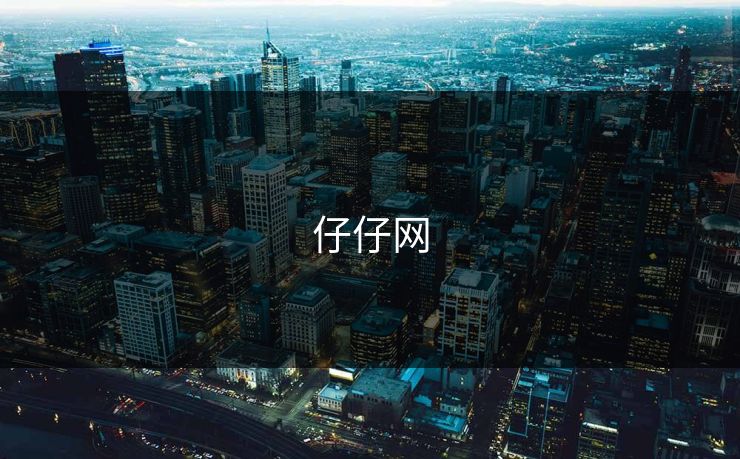 仔仔网