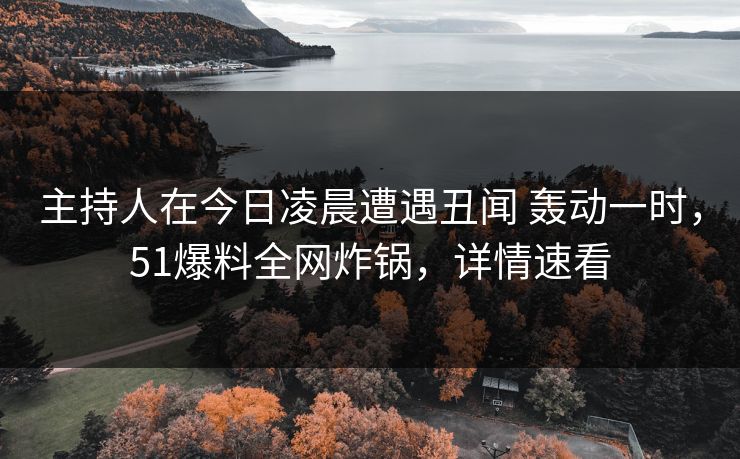 主持人在今日凌晨遭遇丑闻 轰动一时，51爆料全网炸锅，详情速看